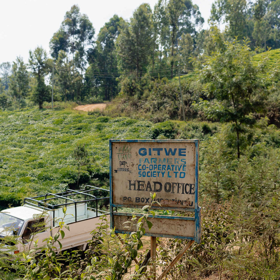 KENYA Karinga AA – Filter