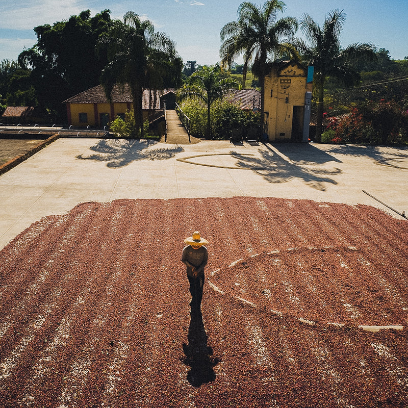 Rotating Origins — Five Elephant monthly coffee subscription