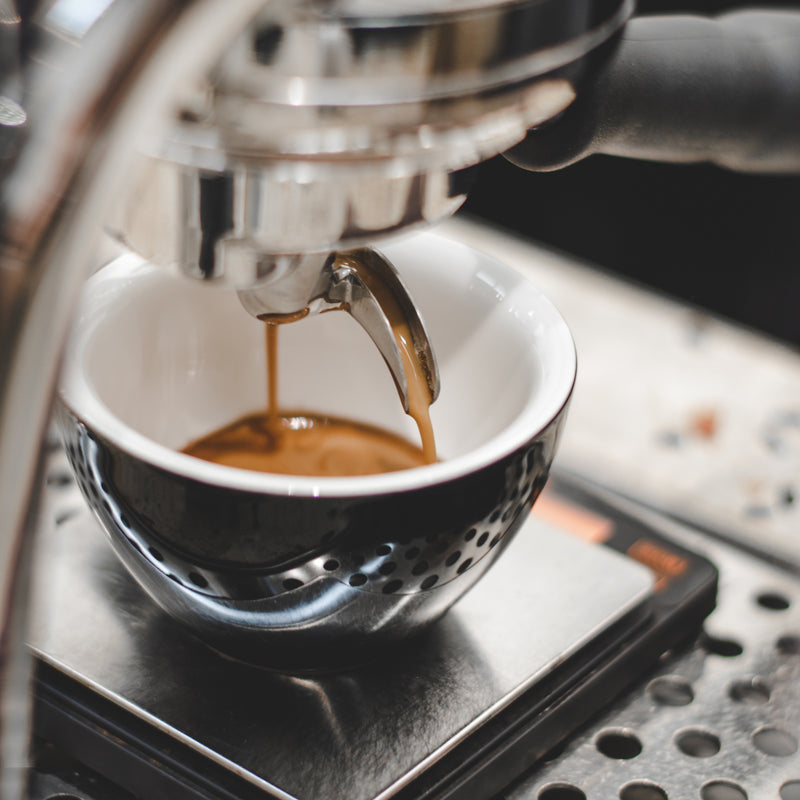 Freshly Roasted — Five Elephant monthly coffee subscription