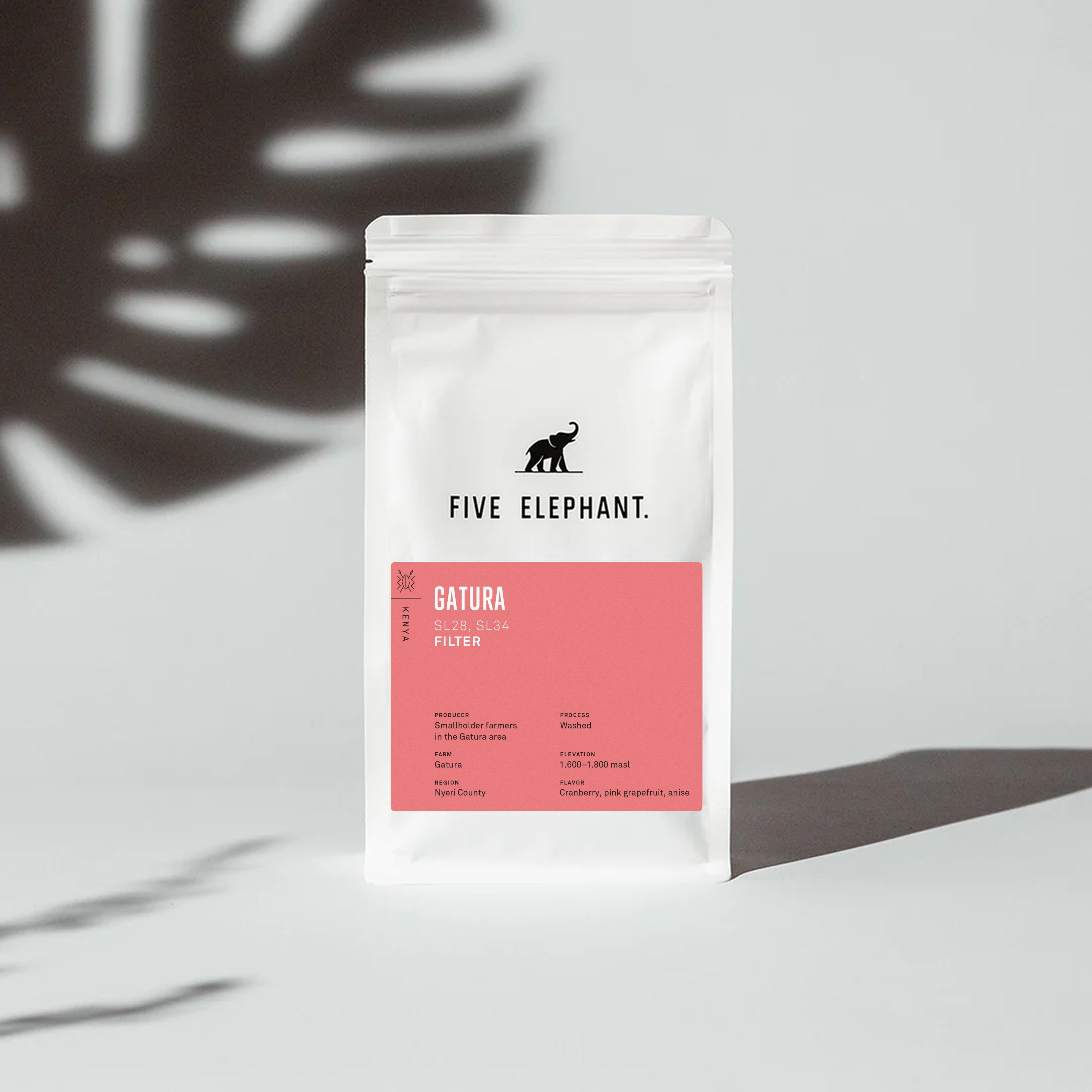 Kenya Gatura – Filter