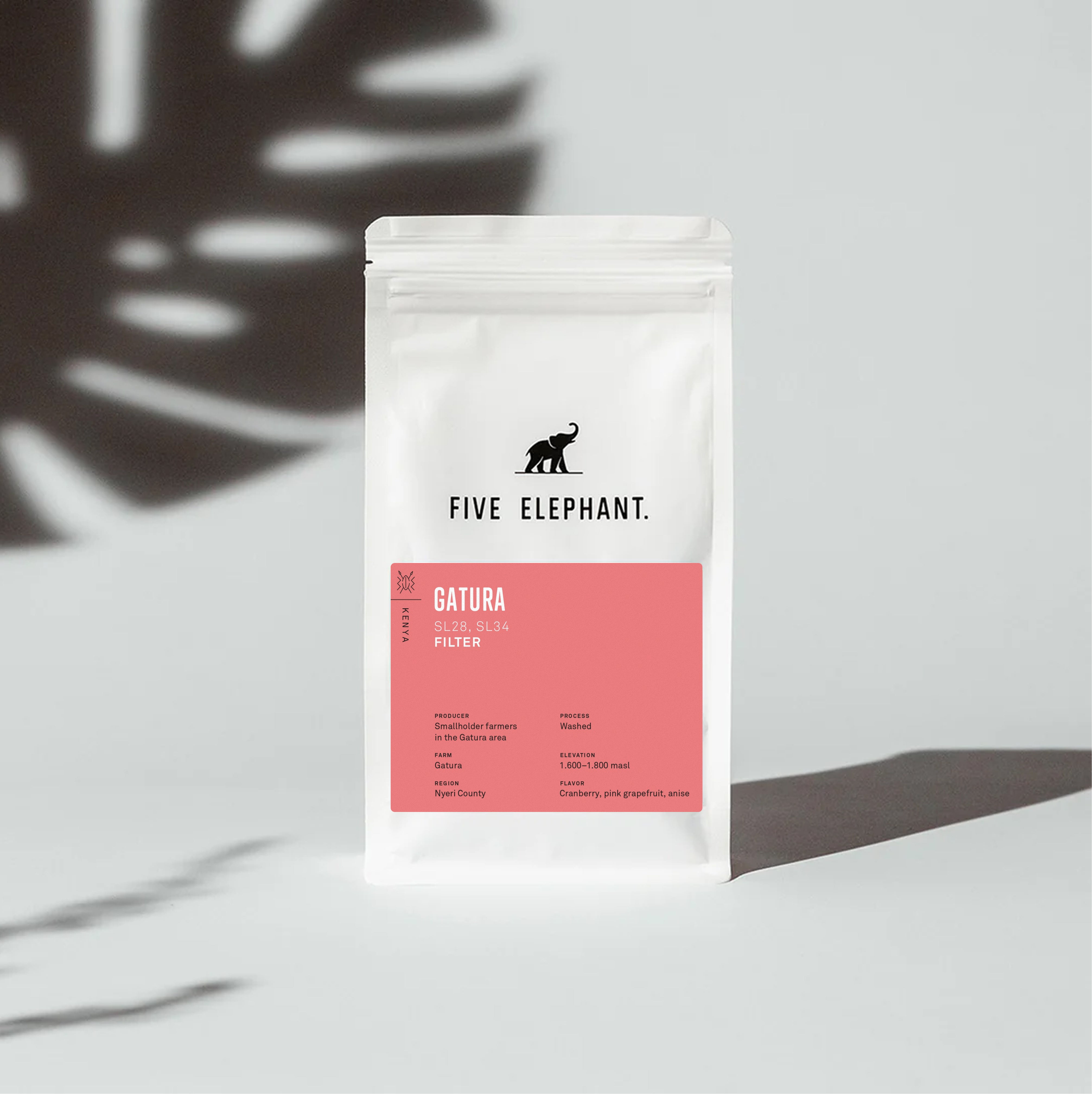Kenya Gatura – Filter