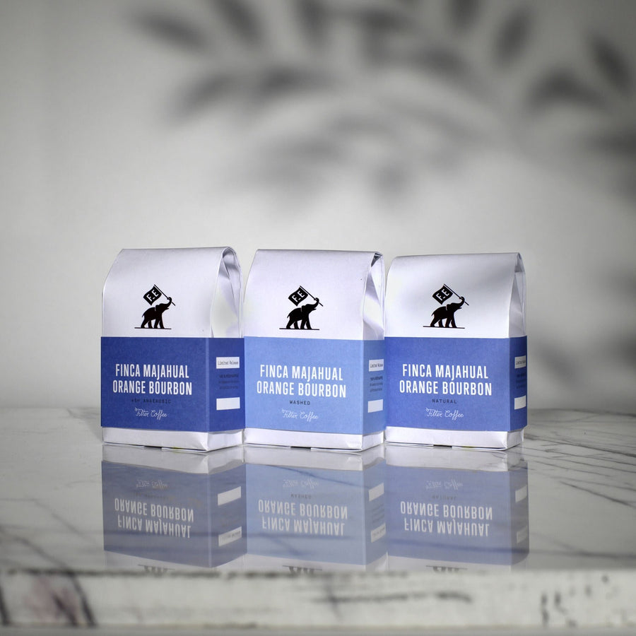 Finca Majahual, El Salvador, Three Process Tasting Set – Filter