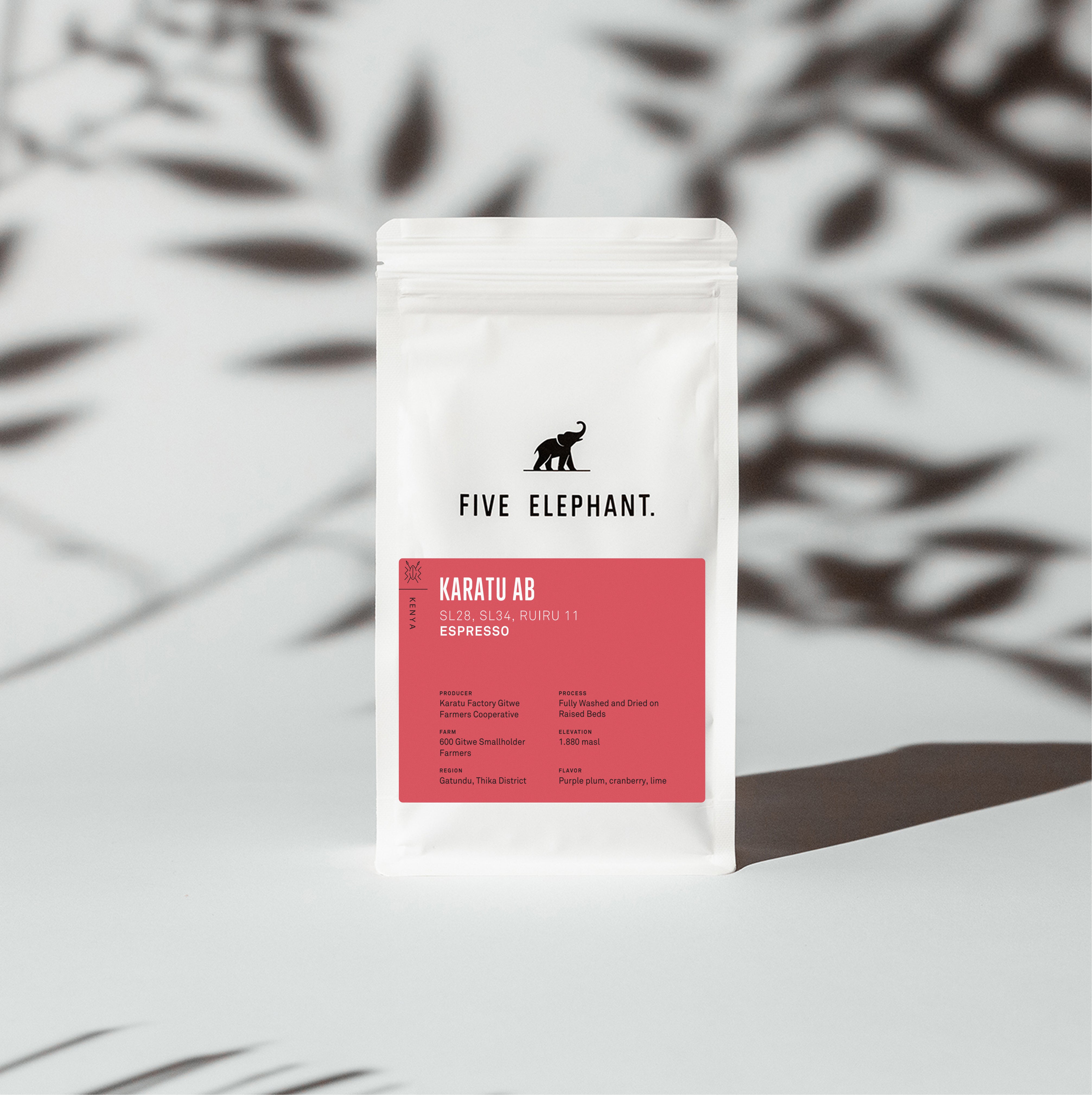 ÄTHIOPIEN Queen Of Sheba – Filter & – Espresso