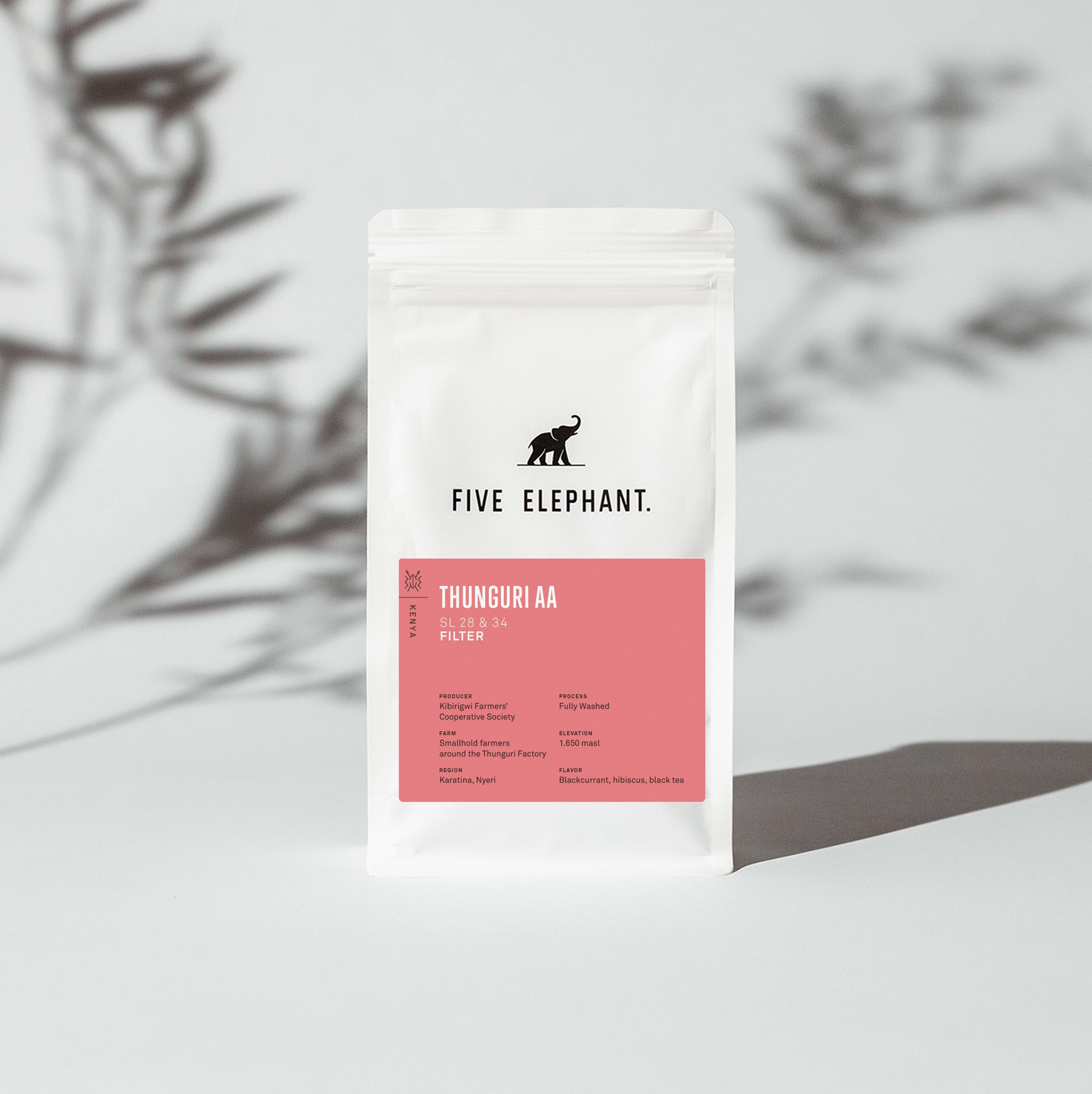 KENYA Thunguri AA – Filter — new release filter roast specialty coffee, Five Elephant