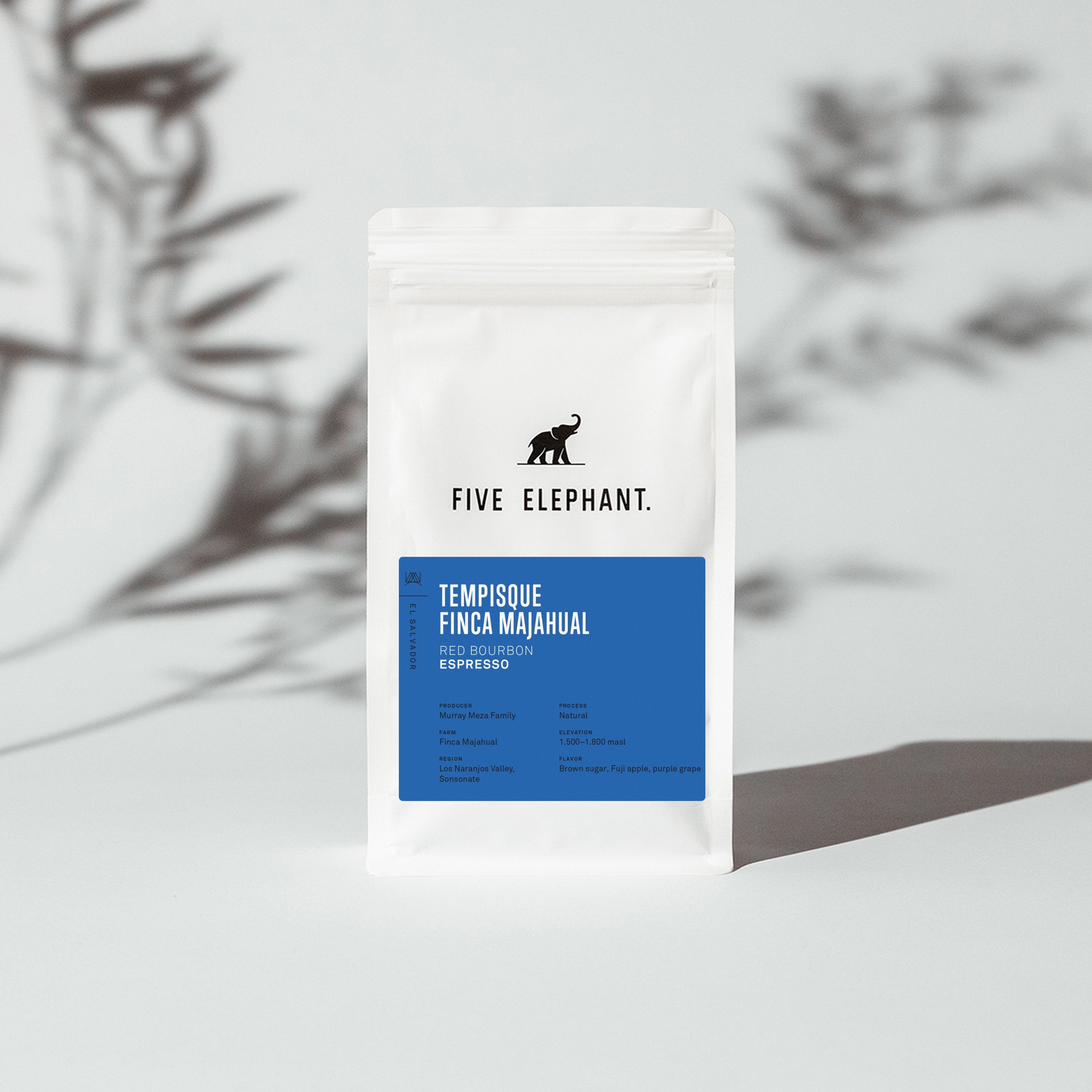 EL SALVADOR Tempisque Red Bourbon Natural – Filter